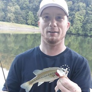 Meet your Posher, Todd